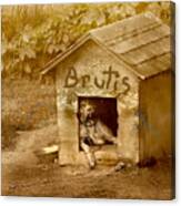 Brutis #1 Canvas Print