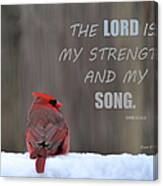 Cardinal In The Snowstorm With Scripture Canvas Print