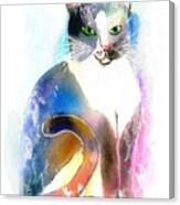 Cat Of Many Colors #1 Canvas Print