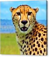 Cheetah  #1 Canvas Print