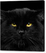 Close-up Black Cat With Yellow Eyes Canvas Print