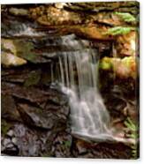 Doane's Falls #1 Canvas Print