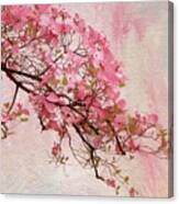 Dogwood Blossom #1 Canvas Print