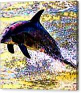 Dolphin #1 Canvas Print