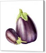Eggplants #1 Canvas Print