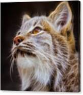 Electric Lynx #1 Canvas Print