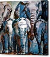 Elephant Family #1 Canvas Print