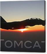 F-14 Tomcat #1 Canvas Print