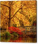 Fall Colors By The Pond #1 Canvas Print