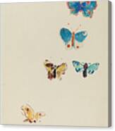 Five Butterflies #1 Canvas Print