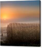 Foggy Sunrise Over Mn Cornfields #1 Canvas Print
