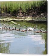 Follow The Leader #2 Canvas Print