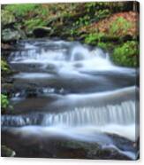 Forest Stream And Marsh Marigolds #1 Canvas Print