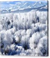Frosted Trees In Ogden Valley Utah #1 Canvas Print