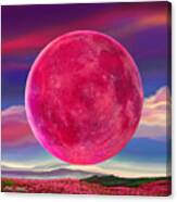 Full Pink Moon Canvas Print