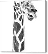 Giraffe Black And White Photograph by Athena Mckinzie - Fine Art America