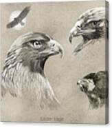 Golden Eagle #1 Canvas Print