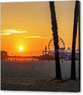 Golden Glow At Sunset Canvas Print