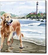 Golden Retriever At The Beach #2 Canvas Print
