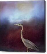 Great Blue Heron #2 Canvas Print