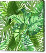 Green Tropical Plant Canvas Print