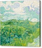 Green Wheat Fields   Auvers Canvas Print