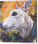 Greyhound Portrait #1 Canvas Print