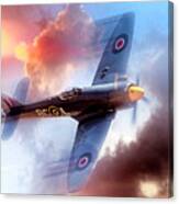 Hawker Sea Fury Canvas Print