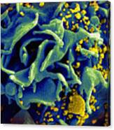 Hiv-infected T Cell, Sem Canvas Print
