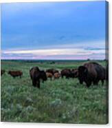 Home On The Range #1 Canvas Print