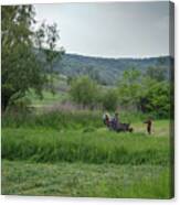 Horsedrawn Haycart, Transylvania 2 Canvas Print