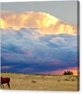 Horses On The Storm Panorama Canvas Print