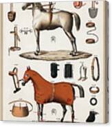 Horses With Antique Horseback Riding Equipments Canvas Print