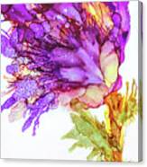 Iris Flower #1 Canvas Print