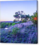 Landscapes Around Willow City Loop Texas At Sunset #1 Canvas Print