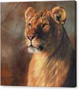 Lioness Portrait #1 Canvas Print