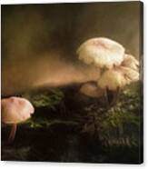 Magic Mushrooms #1 Canvas Print