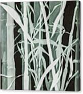 Midnight Bamboo Canvas Print