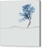 Mindfulness Tree #2 Canvas Print