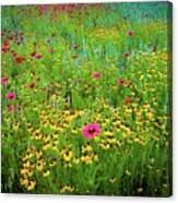 Mixed Wildflowers In Bloom Canvas Print