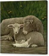 Mother And Lamb #1 Canvas Print