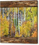 Colorful Aspen Forest Rustic Cabin Window View Canvas Print
