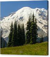 Mt. Rainier Alpine Meadow #1 Canvas Print