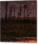Orlando Wetlands Sunrise #1 Canvas Print