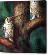 Owls In Moonlight #1 Canvas Print