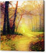 Path In The Woods #1 Canvas Print