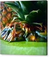 Pineapple #1 Canvas Print