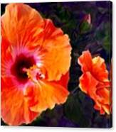Pinkish Orange Hibiscus Canvas Print