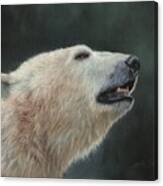 Polar Bear #2 Canvas Print