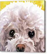 Poodle #3 Canvas Print